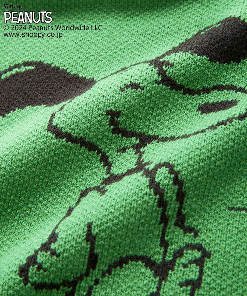 journal standard Furniture （ジャーナルスタンダードファニチャー）の「【PEANUTS×SPORTS WEAR by JSF】別注 KNIT CUSHION クッションカバー（クッション/クッションカバー・レディース・グリーン/イエロー/オレンジ/ブルー・FREE）」の22枚目の写真