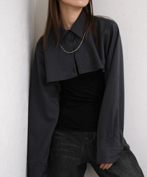 クロップドレギュラーカラーシャツ/cropped regular collar shirt 長袖 襟付き ミニ丈 カジュアル モード シンプル 韓国系 白 ホワイト チャコール グレー