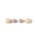 BEAMS JAPAN�i�r�[���X�@�W���p���j�́u�y�ʒ��z����ʖ{���� / �j���A���X�J���[ �s�A�X�i�s�A�X�i�����p�j�j�v�b�o�C�I���b�g