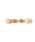 BEAMS JAPAN�i�r�[���X�@�W���p���j�́u�y�ʒ��z����ʖ{���� / �j���A���X�J���[ �s�A�X�i�s�A�X�i�����p�j�j�v�b�I�����W