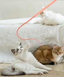 aimoha(ACn)̔L炵(ybgp)