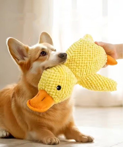 NOLITA LABORATORY(ノリータラボラトリー)の「【 NOLITA / ノリータ 】 ふわふわ アヒル ぬいぐるみ 犬用 抱き枕 トイ ペット用おもちゃ 35センチタイプ(ペット用おもちゃ・メンズ・イエロー・FREE)」の5枚目の写真
