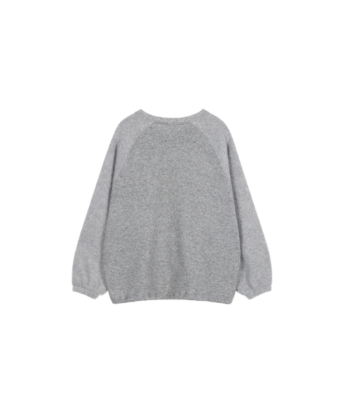 DEINET（ダイニット）の「SMOOTH D LOGO SWEATSHIRTS IN GREY（スウェット・レディース・その他・FREE）」の3枚目の写真