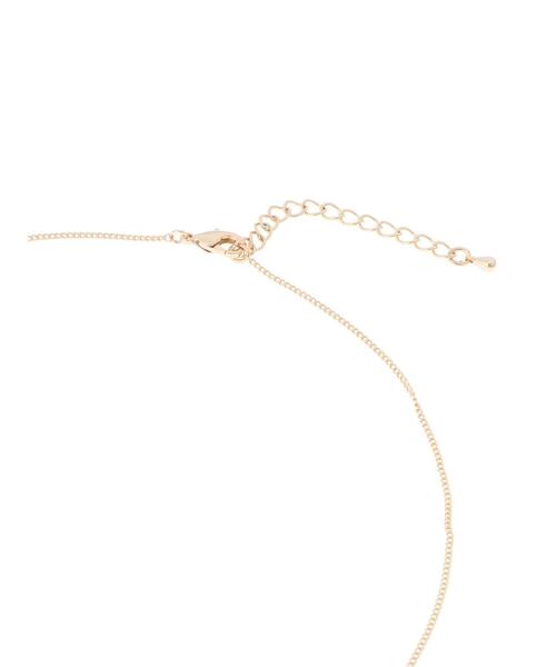 AMERICAN HOLIC（アメリカンホリック）の「コイントップネックレス（ネックレス・レディース・シルバー/ゴールド・FREE）」の7枚目の写真