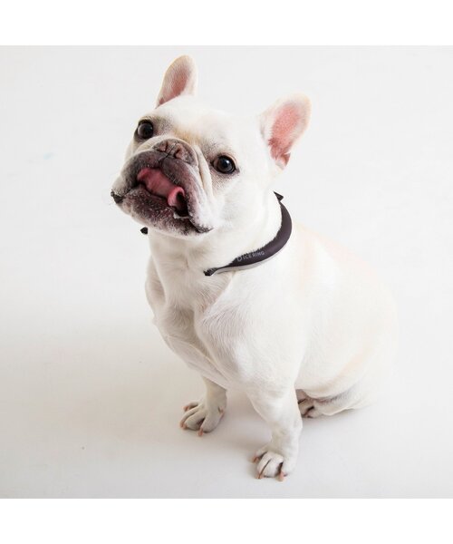 BREEZE（ブリーズ）の「ICE RING（Mサイズ）_オトナ（アウトドアグッズ・レディース・チャコール/ライトグレー/カーキ/サックスブルー/ベージュ/ピンク・MEDIUM）」の20枚目の写真