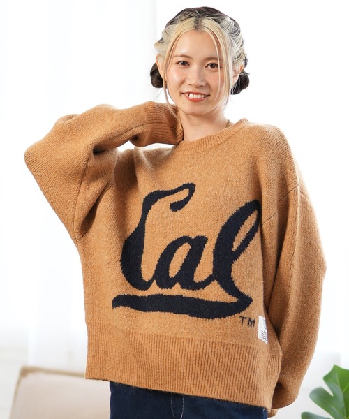 DISCUS ATHLETIC（ディスカス　アスレチック）の「DISCUS ATHLETIC/ディスカスアスレチック カレッジロゴセーター 4487-2656（ニット/セーター・レディース・グレー/スミクロ/ネイビー×ホワイト/マスタード/ネイビー/ベージュ系その他/グリーン/ベージュ系その他2・M）」の8枚目の写真