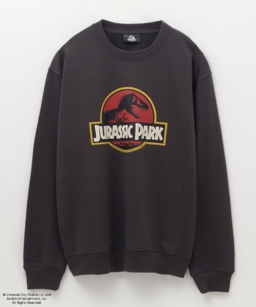 USA製 90's JURASSIC PARK スウェット　トレーナー M 公式 USA製 90's JURASSIC PARK スウェット トレーナー M 公式