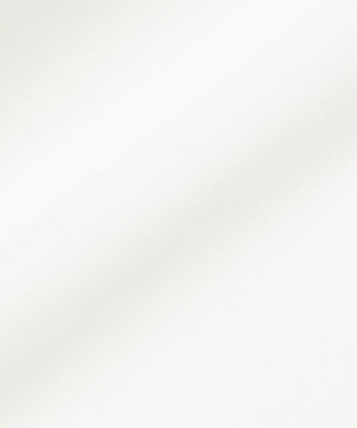 Demi-Luxe BEAMS（デミルクス ビームス）の「【1/9再値下げ】ポンチ ハーフスリーブ Tシャツ［手洗い可］（Tシャツ/カットソー・レディース・ホワイト/ダークブラウン・ONE SIZE）」の21枚目の写真