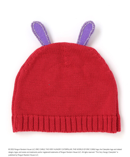 こてちゃんページ アナ sサイズ フルセット（帽子あり） 絵本コラボ-はらぺこあおむし-】あおむしフェイスニット帽（その他