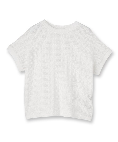 UNTITLED（アンタイトル）の「【洗える／シアー】ミニヨンレースプルオーバー（Tシャツ/カットソー・レディース・ブラック/オフホワイト/チャコールグレー/チャコール/サックスブルー・02/00/50/48/44/04）」の6枚目の写真