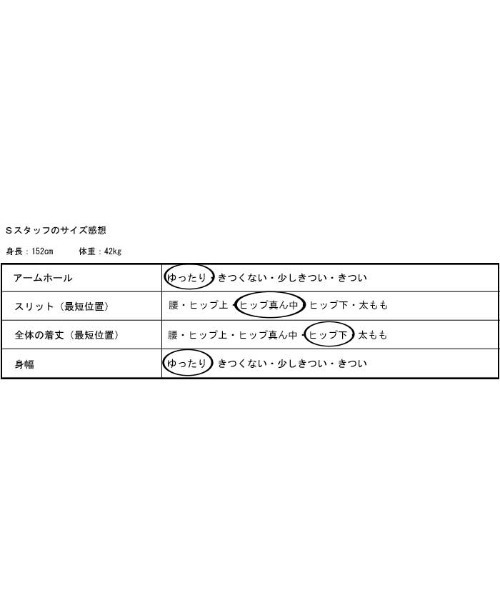 antiqua（アンティカ）の「「コスパ最強。」ピグメント加工プルオーバー（Tシャツ/カットソー・レディース・パープル/ベージュ/カーキ/グレー/ブルー・FREE）」の9枚目の写真