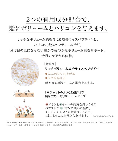 L'OCCITANE（ロクシタン）の「ボリューム＆ストレングス シャンプー（レフィル） 500mL 詰め替え用（シャンプー・レディース・その他・FREE）」の8枚目の写真