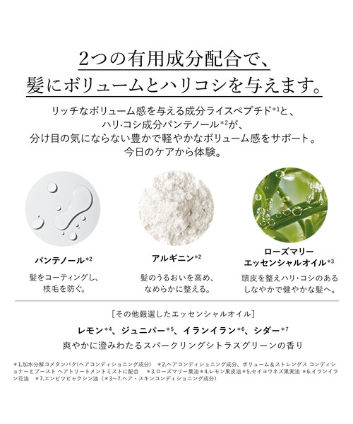 L'OCCITANE（ロクシタン）の「ボリューム＆ストレングス シャンプー（レフィル） 500mL 詰め替え用（シャンプー・レディース・その他・FREE）」の9枚目の写真