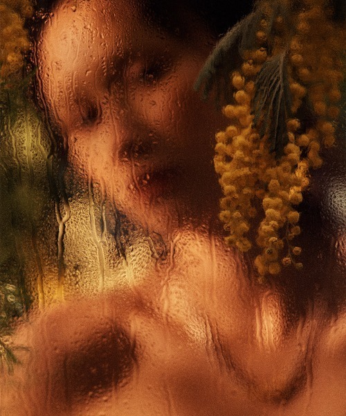 Fauvirame（フォーヴィレイム）の「Fern Chain Necklace（ネックレス・レディース・ゴールド・MEDIUM/LARGE/SMALL）」の14枚目の写真