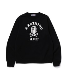 A BATHING APE PIRATE STORE｜アベイシングエイプ パイレーツ