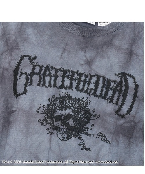 Champion(チャンピオン)の「Champion/チャンピオン/SHORT SLEEVE T-SHIRT(Tシャツ/カットソー・メンズ・イエロー/ブラック系その他/ブルー系その他3/モスグリーン・M/XL/L)」の5枚目の写真