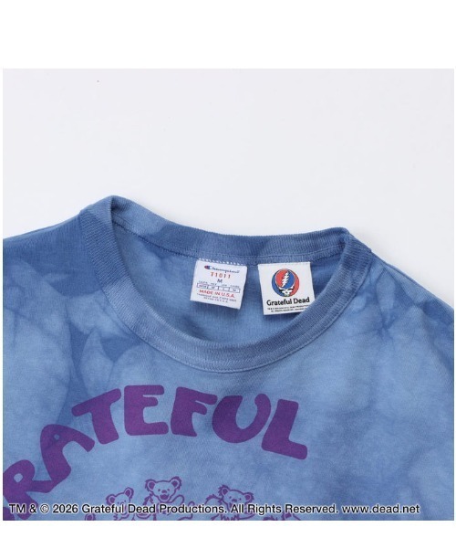 Champion(チャンピオン)の「Champion/チャンピオン/SHORT SLEEVE T-SHIRT(Tシャツ/カットソー・メンズ・イエロー/ブラック系その他/ブルー系その他3/モスグリーン・M/XL/L)」の18枚目の写真