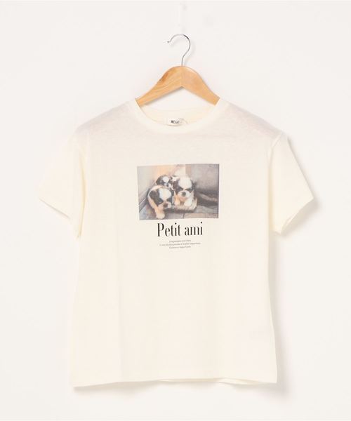 WEGO（ウィゴー）の「WEGO/ソフトタッチアソートTシャツ（Tシャツ/カットソー・レディース・ホワイト系その他/グリーン系その他/ベージュ/ホワイト・FREE）」の8枚目の写真