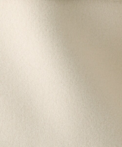 AG by aquagirl（エージーバイアクアガール）の「◆ライトジャージメルトンノーカラーブルゾン【WEB限定サイズ】（ブルゾン・レディース・ブラック/ナチュラル/ブラウン系その他・36/38/40）」の11枚目の写真