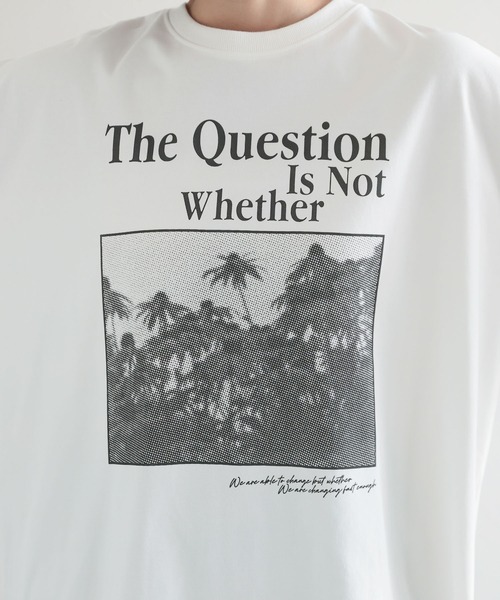 PAGEBOY(ページボーイ)の「フォトロゴロンT(Tシャツ/カットソー・レディース・オフホワイト/パープル系その他・FREE)」の18枚目の写真