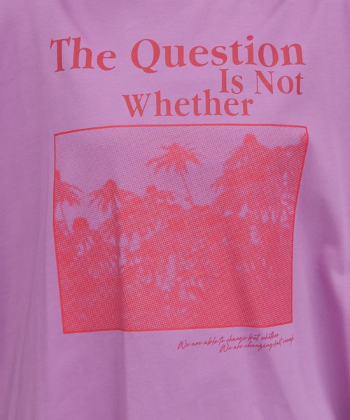 PAGEBOY(ページボーイ)の「フォトロゴロンT(Tシャツ/カットソー・レディース・オフホワイト/パープル系その他・FREE)」の19枚目の写真