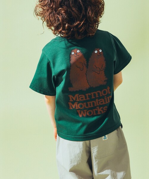 新品 ♥️可愛い マーモットタグ Marmot ポロシャツ Amazon.co.jp: マーモット（Marmot） 半袖Tシャツ ラベンダー