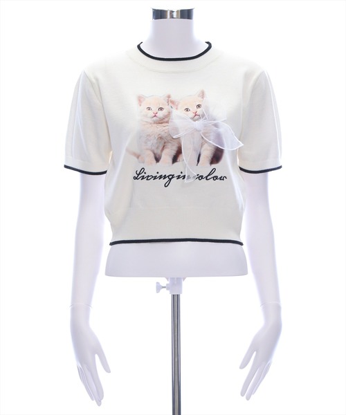 猫 フリル付き クロップド Tシャツ 半袖 リボン NOBRAND セール】アニマルプリントリボン半袖ニットトップス[猫 ガーリー