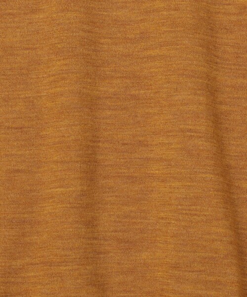 TOMORROWLAND (トゥモローランド)の「TOMORROWLAND tricot スーパーファインメリノウール クルーネックプルオーバー S-WOOL(ニット/セーター・メンズ・イエロー/ネイビー/ブラウン/グリーン/ボルドー/グレイッシュベージュ/ブラック/ライトブルー/チャコールグレー・XL/XS/S/M/L)」の22枚目の写真