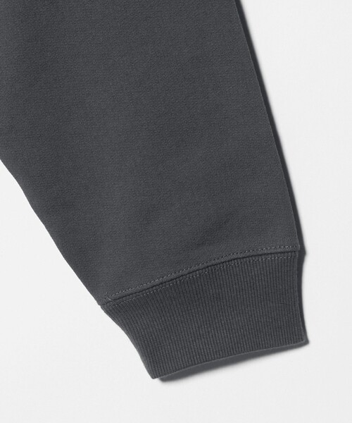 green label relaxing（グリーンレーベルリラクシング）の「EGON SCHIELE クルーネック スウェット（スウェット・メンズ・ダークグレー/ホワイト/ワイン・XL/L/M）」の14枚目の写真