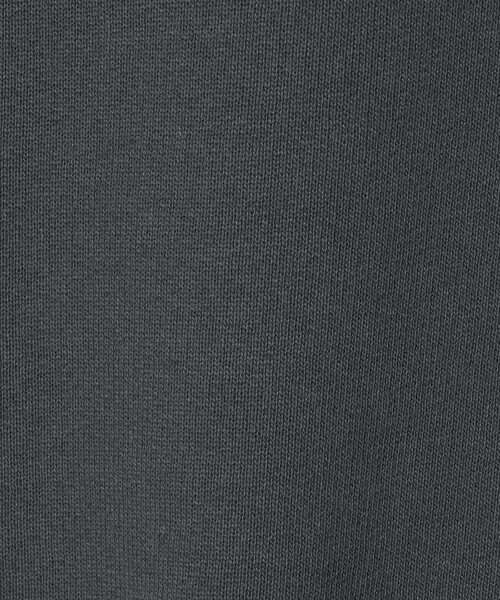 green label relaxing（グリーンレーベルリラクシング）の「EGON SCHIELE クルーネック スウェット（スウェット・メンズ・ダークグレー/ホワイト/ワイン・XL/L/M）」の18枚目の写真