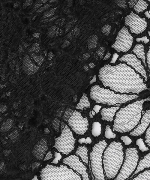 ANAYI(アナイ)の「フラワー刺繍Aラインワンピース(ワンピース・レディース・ブラック・38/36)」の22枚目の写真
