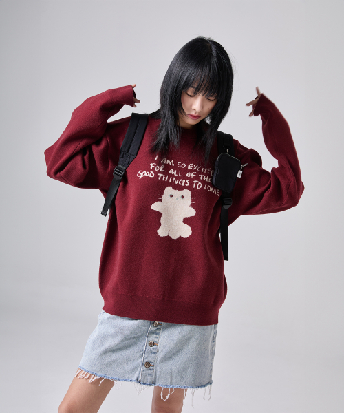 LMR(エルエムアール)の「シャニョン キャラクタージャガードクルーニット BURGUNDY(ニット/セーター・レディース・バーガンディー・FREE)」の10枚目の写真