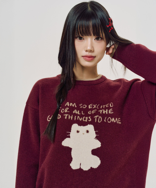 LMR(エルエムアール)の「シャニョン キャラクタージャガードクルーニット BURGUNDY(ニット/セーター・レディース・バーガンディー・FREE)」の11枚目の写真
