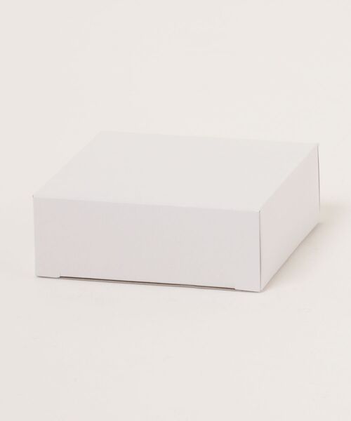 SKAGEN(スカーゲン)の「スカーゲン アクセサリー レディース ピアス シルバー SKJ1904040(ピアス(両耳用)・レディース・シルバー・FREE)」の6枚目の写真