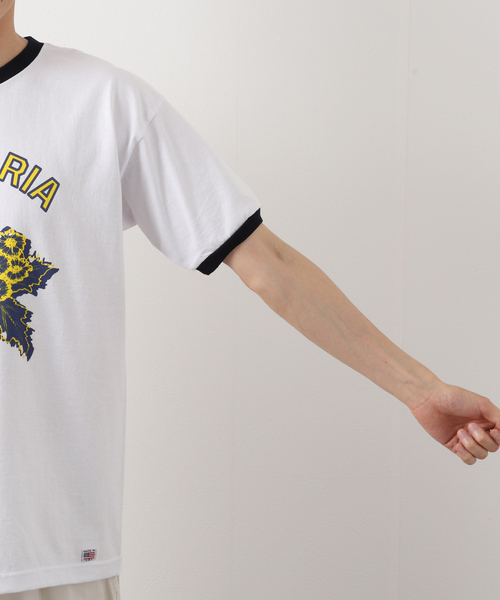 niche.（ニッチ）の「【niche.USA / ニッチ】Potted Ringer-CINE/YELLOW（Tシャツ/カットソー・メンズ・ネイビー・MEDIUM/LARGE）」の9枚目の写真