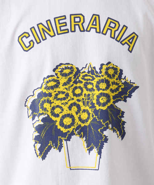 niche.（ニッチ）の「【niche.USA / ニッチ】Potted Ringer-CINE/YELLOW（Tシャツ/カットソー・メンズ・ネイビー・MEDIUM/LARGE）」の7枚目の写真