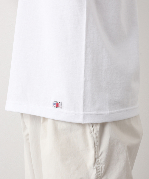 niche.（ニッチ）の「【niche.USA / ニッチ】Potted Ringer-CINE/YELLOW（Tシャツ/カットソー・メンズ・ネイビー・MEDIUM/LARGE）」の6枚目の写真