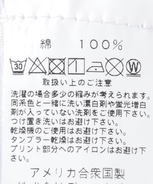 niche.（ニッチ）の「【niche.USA / ニッチ】Potted Ringer-CINE/YELLOW（Tシャツ/カットソー・メンズ・ネイビー・MEDIUM/LARGE）」の3枚目の写真