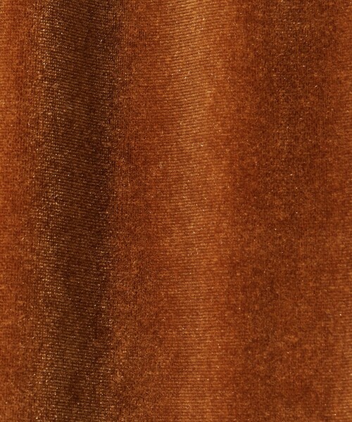 Steven Alan（スティーブンアラン）の「＜Steven Alan＞ベロア ロング スカート（スカート・レディース・ブラック/ダークブラウン・M/S）」の17枚目の写真