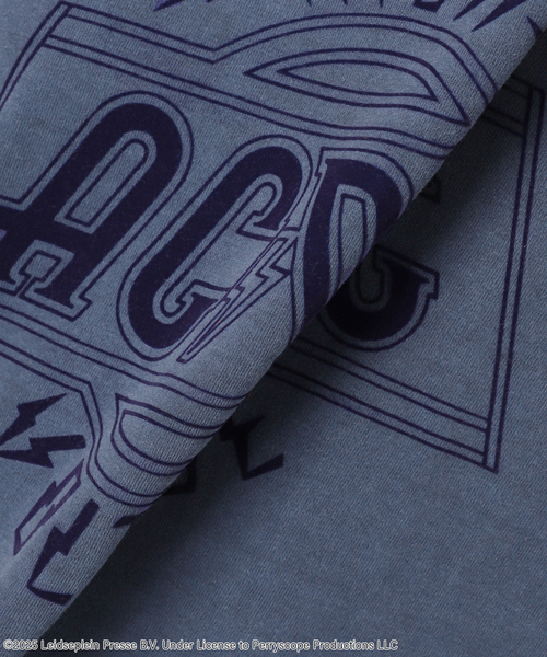 GOOD ROCK SPEED(グッドロックスピード)の「別注【GOOD ROCK SPEED】フロッキーT(Tシャツ/カットソー・レディース・ブラウン/チャコールグレー/ベージュ/ネイビー・FREE)」の14枚目の写真