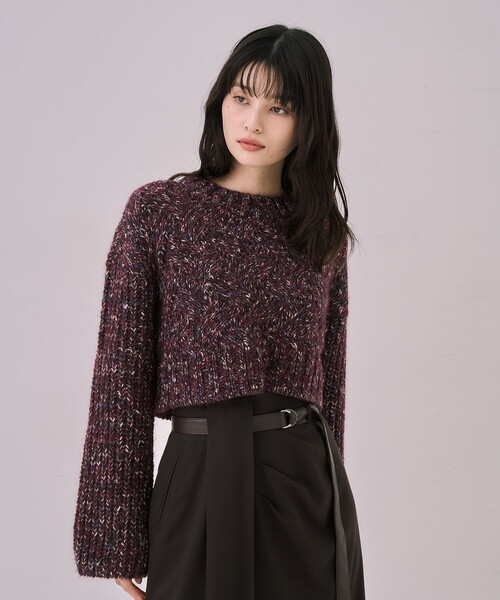 UNITED TOKYO(ユナイテッドトウキョウ)の「【残りわずか!】バスケットショートニット|細見え/冬服(ニット/セーター・レディース・ブラウン/ライトブルー/ブラック・FREE)」の19枚目の写真