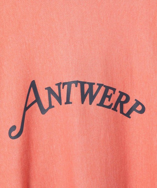 Champion（チャンピオン）の「【Champion】別注 ロゴプリントパーカー（パーカー・メンズ・ライトグレー/ブラック/グレー/オレンジ/ブラック系その他/オレンジ系その他・LL/M/L）」の17枚目の写真