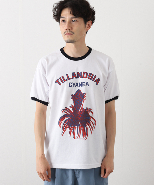 niche.（ニッチ）の「【niche.USA / ニッチ】Potted Ringer-TILL/RED（Tシャツ/カットソー・メンズ・ネイビー・MEDIUM/LARGE）」の14枚目の写真