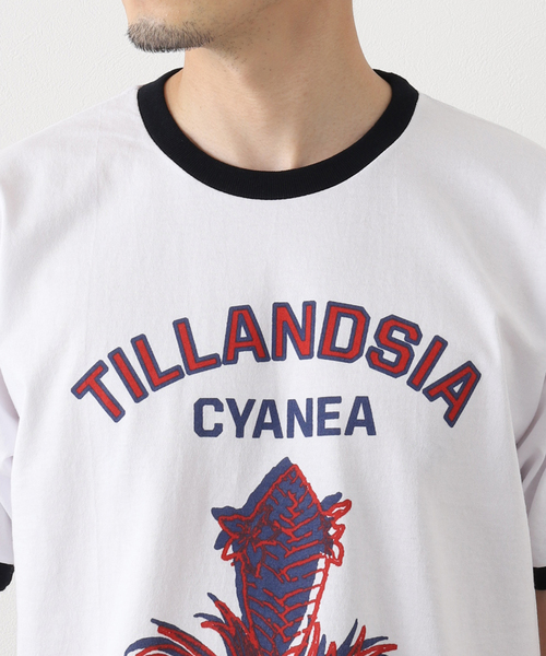 niche.（ニッチ）の「【niche.USA / ニッチ】Potted Ringer-TILL/RED（Tシャツ/カットソー・メンズ・ネイビー・MEDIUM/LARGE）」の11枚目の写真