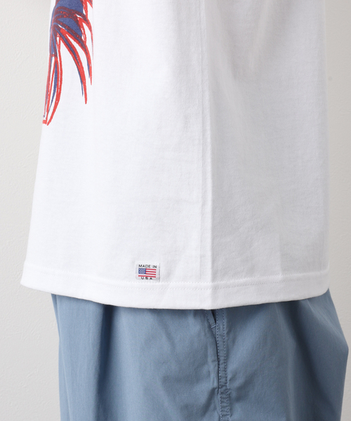 niche.（ニッチ）の「【niche.USA / ニッチ】Potted Ringer-TILL/RED（Tシャツ/カットソー・メンズ・ネイビー・MEDIUM/LARGE）」の6枚目の写真