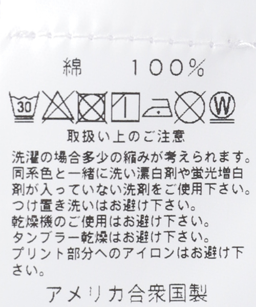 niche.（ニッチ）の「【niche.USA / ニッチ】Potted Ringer-TILL/RED（Tシャツ/カットソー・メンズ・ネイビー・MEDIUM/LARGE）」の3枚目の写真