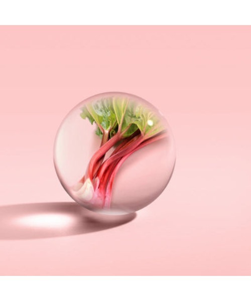 デリシャス ルバーブ＆ローズ アロマリードレフィル 150ml｜モルトンブラウン MOLTON BROWN（ルームフレグランス/お香）｜MOLTON BROWN（モルトンブラウン）