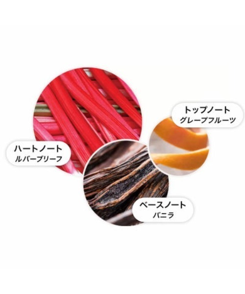 デリシャス ルバーブ＆ローズ アロマリードレフィル 150ml｜モルトンブラウン MOLTON BROWN（ルームフレグランス/お香）｜MOLTON BROWN（モルトンブラウン）