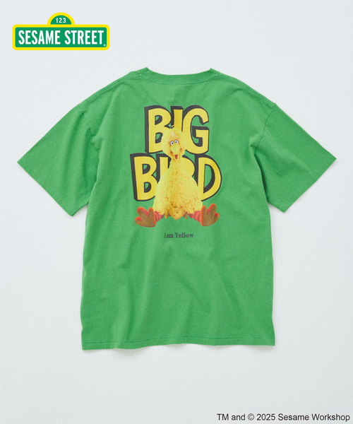 JOURNAL STANDARD（ジャーナルスタンダード）の「セサミストリート meets JOURNAL STANDARD 別注プリントTシャツ（Tシャツ/カットソー・メンズ・ブラック系その他/ホワイト×ホワイト/ホワイト系その他/ライトグリーン/ピンク/ブラックミックス・SMALL/MEDIUM/LARGE）」の10枚目の写真