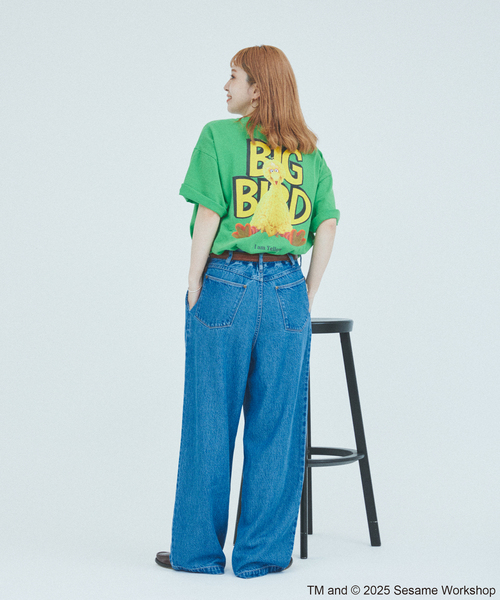 JOURNAL STANDARD（ジャーナルスタンダード）の「セサミストリート meets JOURNAL STANDARD 別注プリントTシャツ（Tシャツ/カットソー・メンズ・ブラック系その他/ホワイト×ホワイト/ホワイト系その他/ライトグリーン/ピンク/ブラックミックス・SMALL/MEDIUM/LARGE）」の18枚目の写真